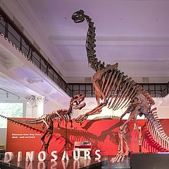 恐龙主题展