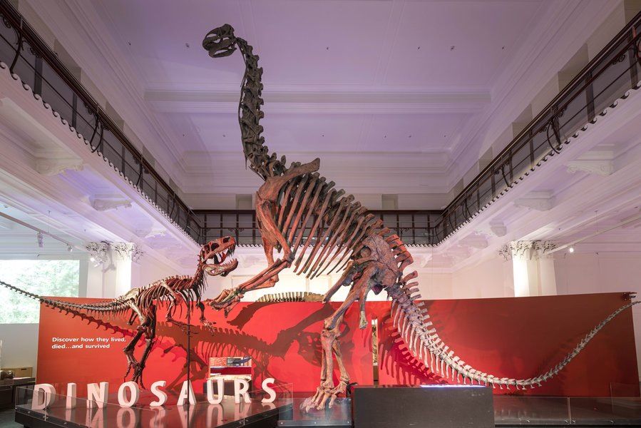 恐龙主题展